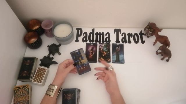 Taurus You are not fooling yourself anymore New Moon February 1st 2022 Psychic Tarot Reading смотреть онлайн