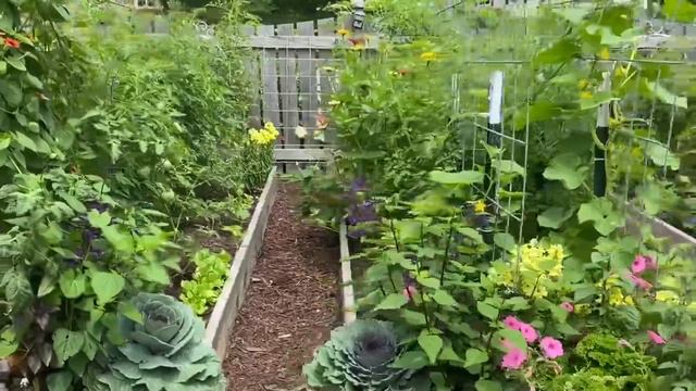 Garden Tour-July:Priscilla & Chelsea-The Real Housewives of Cross Stitch смотреть онлайн