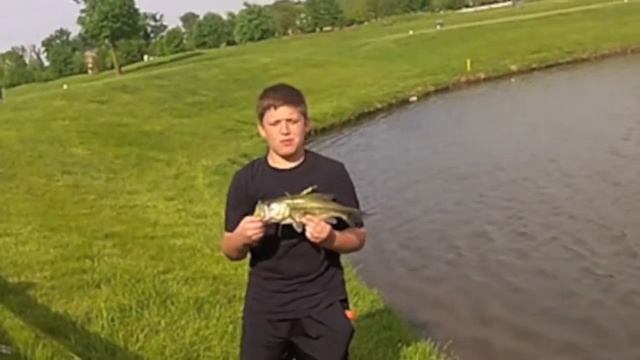 Fins Up Fishing: Hooked On Bass смотреть онлайн