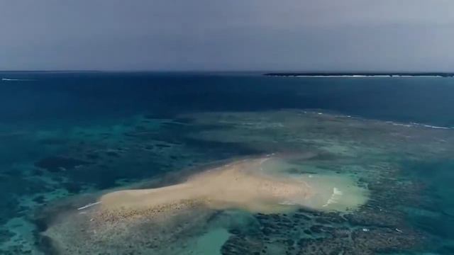 Coral-Mine — самый простой способ пить качественную воду смотреть онлайн