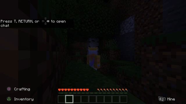 How to Play Minecraft Split Screen on PS5 with TWO PLAYERS! (Fast Method!) смотреть онлайн