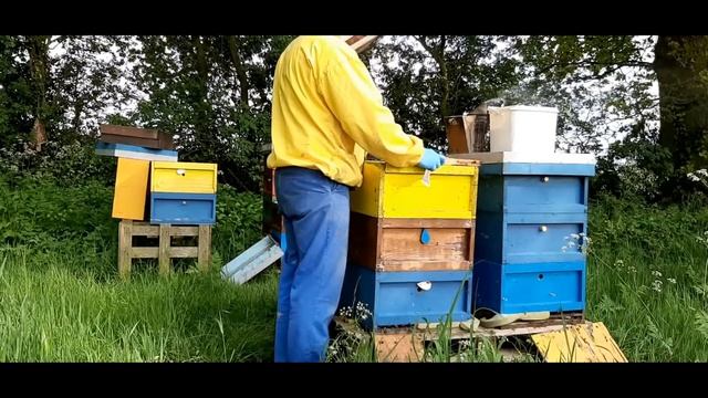 Пчеловодство в Англии. Работа с пчелами. смотреть онлайн