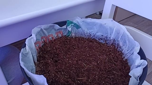 702. Из мушки яйца, из яиц черви, из червей мушки... смотреть онлайн