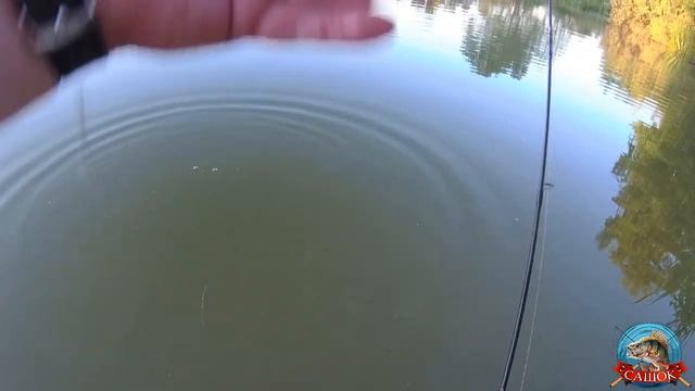 Мормышинг. Sakura рост 1.98. Sakura рост 2.10 смотреть онлайн