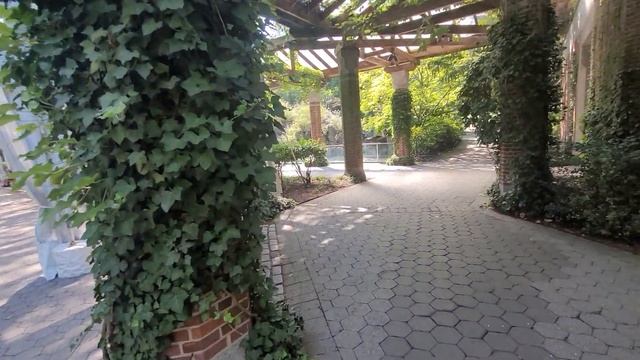 Зоопарк Нью-Йорка #сша #переездвсша #америка #ньюйорк смотреть онлайн