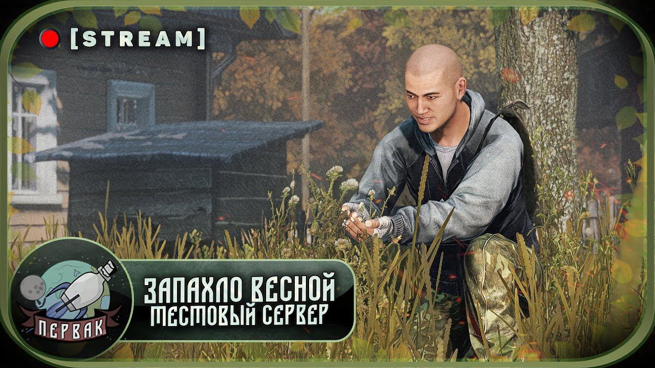 PERVAK Весна - Тестовый сервер | DayZ 1.24