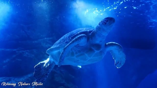 Музыка для лечения стресса, беспокойства и депрессии, избавления от внутренней ярости и печали смотреть онлайн