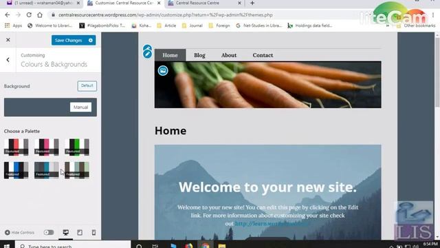WordPress Customization - Basic Parameters | The CoProfessionals | WordPress Tutorials смотреть онлайн