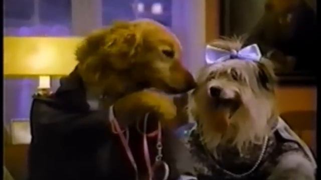 August 25, 1991 commercials смотреть онлайн