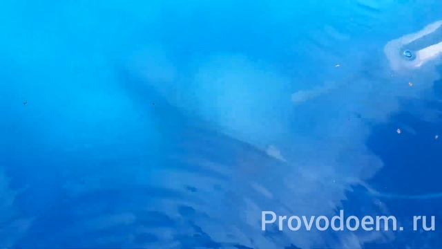 Мембранный распылитель для аэрации 50см смотреть онлайн