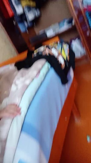 я аниматроник