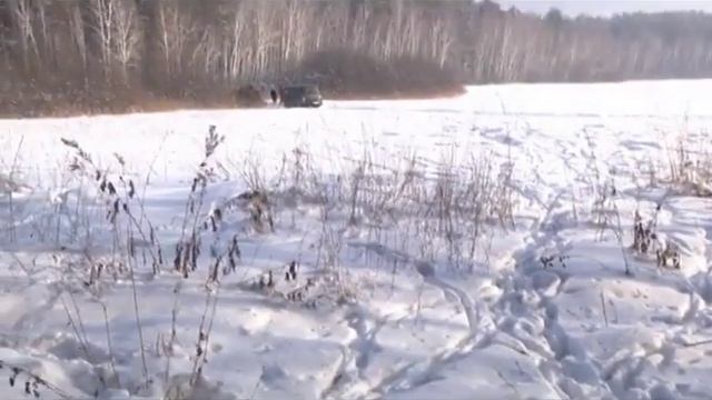 Подкормка для лесных животных смотреть онлайн