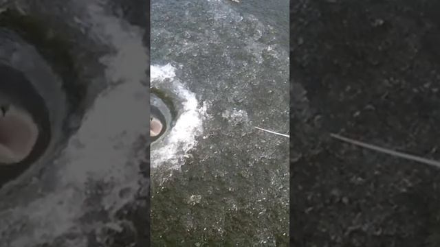 Хороший ГОЛАВЛЬ на КАЛУЖСКУЮ РЕЗИНКУ. смотреть онлайн