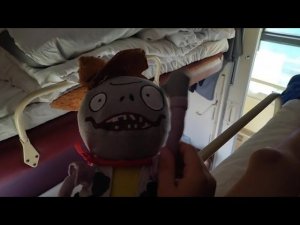 Черепухус в поезде 11