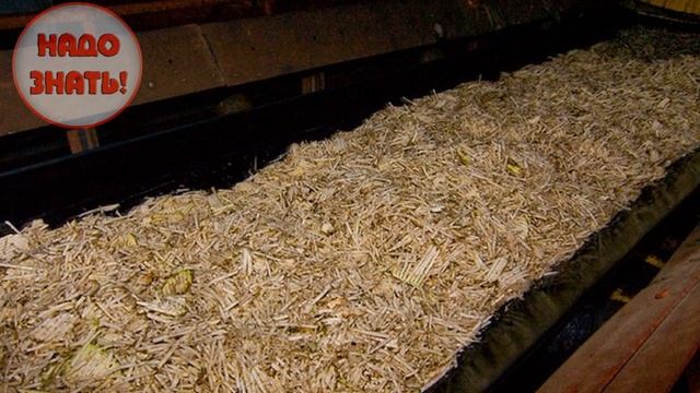 Как и из чего делают сахар? смотреть онлайн