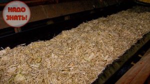 Как и из чего делают сахар?