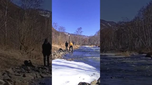 Горный Алтай река Сема. #алтай #travel #shorts #2023 смотреть онлайн