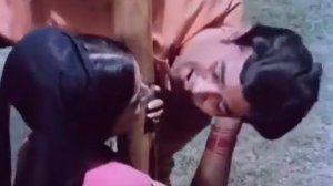 Слоны мои друзья. 1971 г.