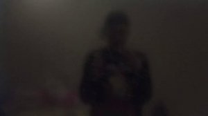 Открытие DVD-диска Пёс в сапогах