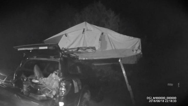 Скворцы прилетели на рыбалку к FLYFISHING КЛУБ смотреть онлайн