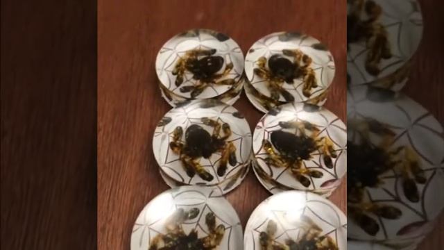 Фишки из оргстекла «Пауки и скорпионы» для нард. смотреть онлайн
