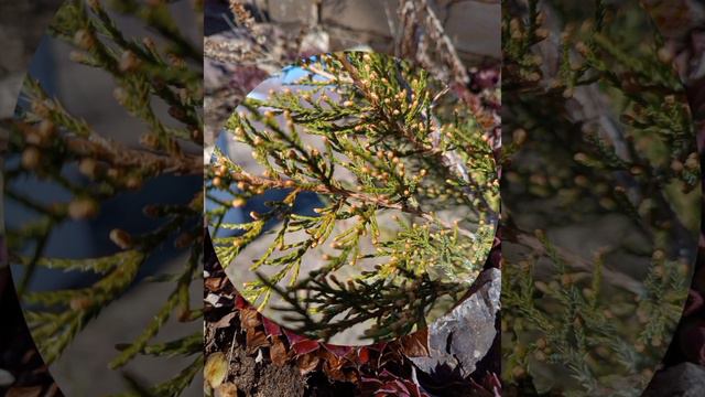 фоточки! 💖💖💖