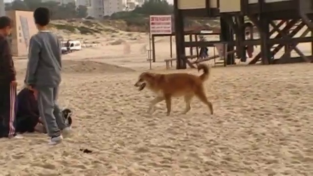 Ашкелон Средиземное море смотреть онлайн