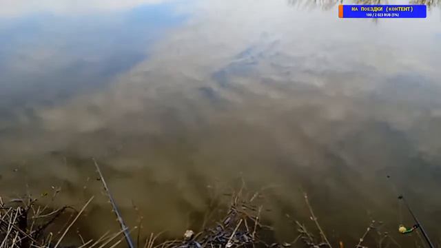 ОППА РЫБАЛ.ОЧКА УТРО - ИРЛ IRL СТРИМ