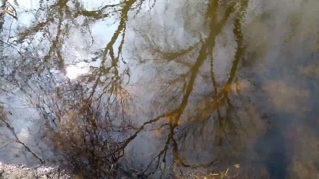 Нескінченно можна дивитися на три речі: як горить вогонь, як тече вода і... смотреть онлайн