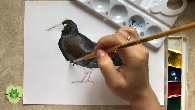 Рисуем птиц. Грач. смотреть онлайн