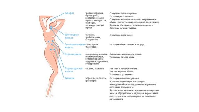 Восстановить Гормональный Баланс Женщины Без Медикаментов смотреть онлайн