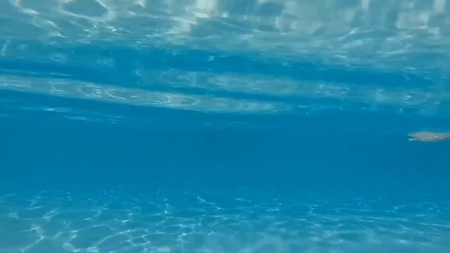 Аквапарк Джангл. Хургада, декабрь 2014. смотреть онлайн