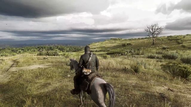 [8K60] RDR2 RTX 4090! - close to realism!! - Beyond all Limits Raytracing Reshade - 100+Mods смотреть онлайн