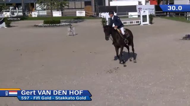 Stakkato Gold x Libero H in foal 2017 Cornet Obolensky смотреть онлайн