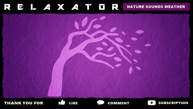 Wind sounds / Windgeräusche / Bruit du vent / Sonido de viento смотреть онлайн