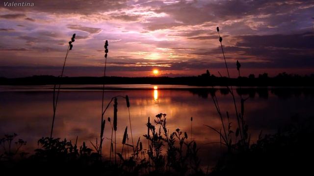 ЗВЁЗДОЧКА ТУЧКУ ЗАДЕЛА смотреть онлайн