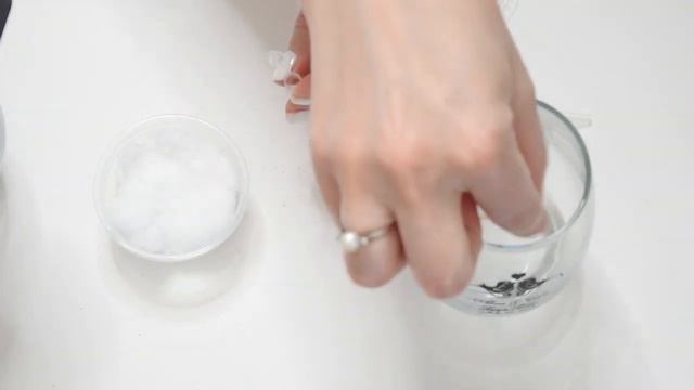 Planting Lithop Seeds & Young Lithops смотреть онлайн