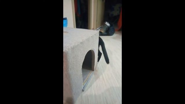 Как самому сделать домик для кошки смотреть онлайн