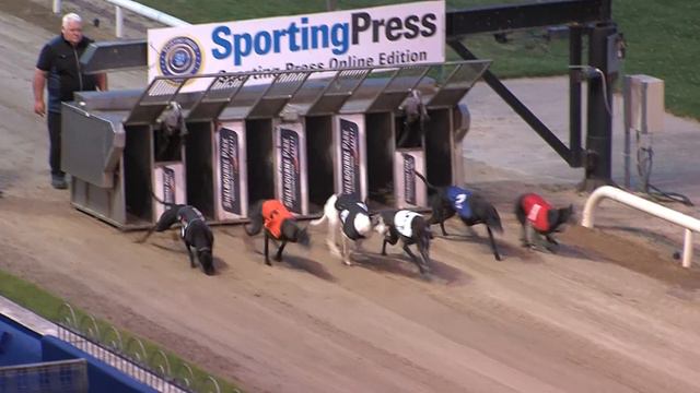 2022 Sporting Press Online Edition Irish Oaks Final смотреть онлайн