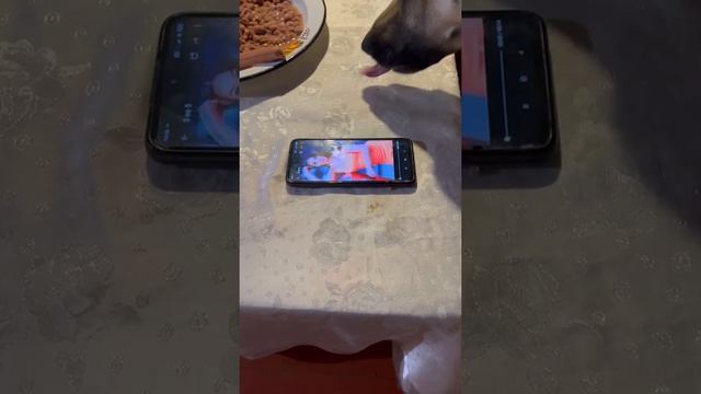 Юлии от Бакса сердечное спасибо за угощение 🙏❤️🥰 смотреть онлайн