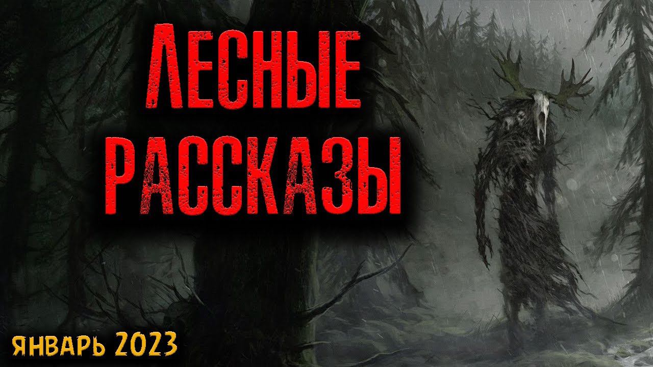 ЛЕСНЫЕ РАССКАЗЫ | Страшные истории