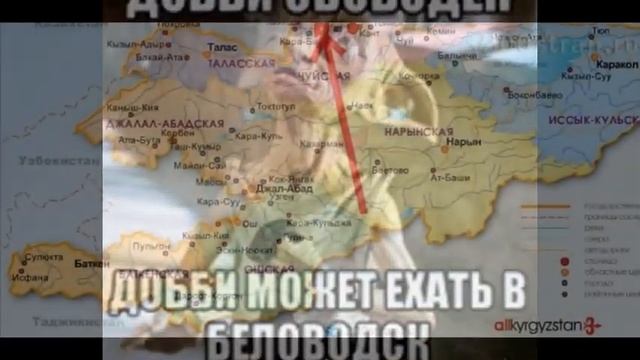 Бловодск смотреть онлайн