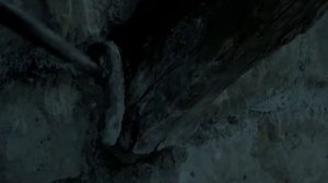 Старое ружье (1975)  (Франция)