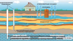 Когда вокруг топь: как правильно выполнить гидроизоляцию подвала изнутри от грунтовых вод и скольк.