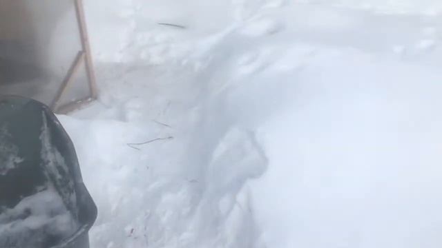 Нагрев курятника из поликарбоната на солнце в морозы смотреть онлайн