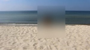 ДИКИЙ ПЛЯЖ. ЗАГОРАЕМ ГОЛЫШОМ. КУРШСКАЯ КОСА