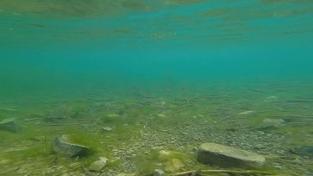 Озеро Каинды. И пусть весь мир подождет. Джип Каноэ смотреть онлайн