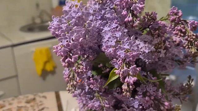 Приготовили вкусные манты мясо с овощами и чечевичный  суп на ифтар