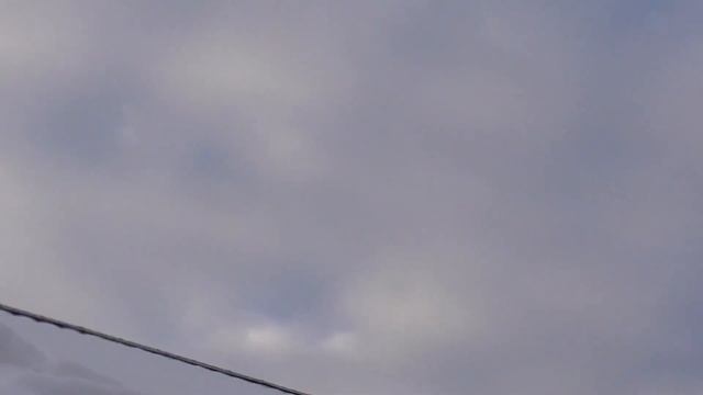 Голуби+Ястреб Тетеревятник будет ли - голубь. Pigeons+Goshawk Will it be - a dove. смотреть онлайн