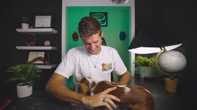 5 THINGS I WISH I KNEW - Before Getting a Cavalier King Charles Spaniel смотреть онлайн